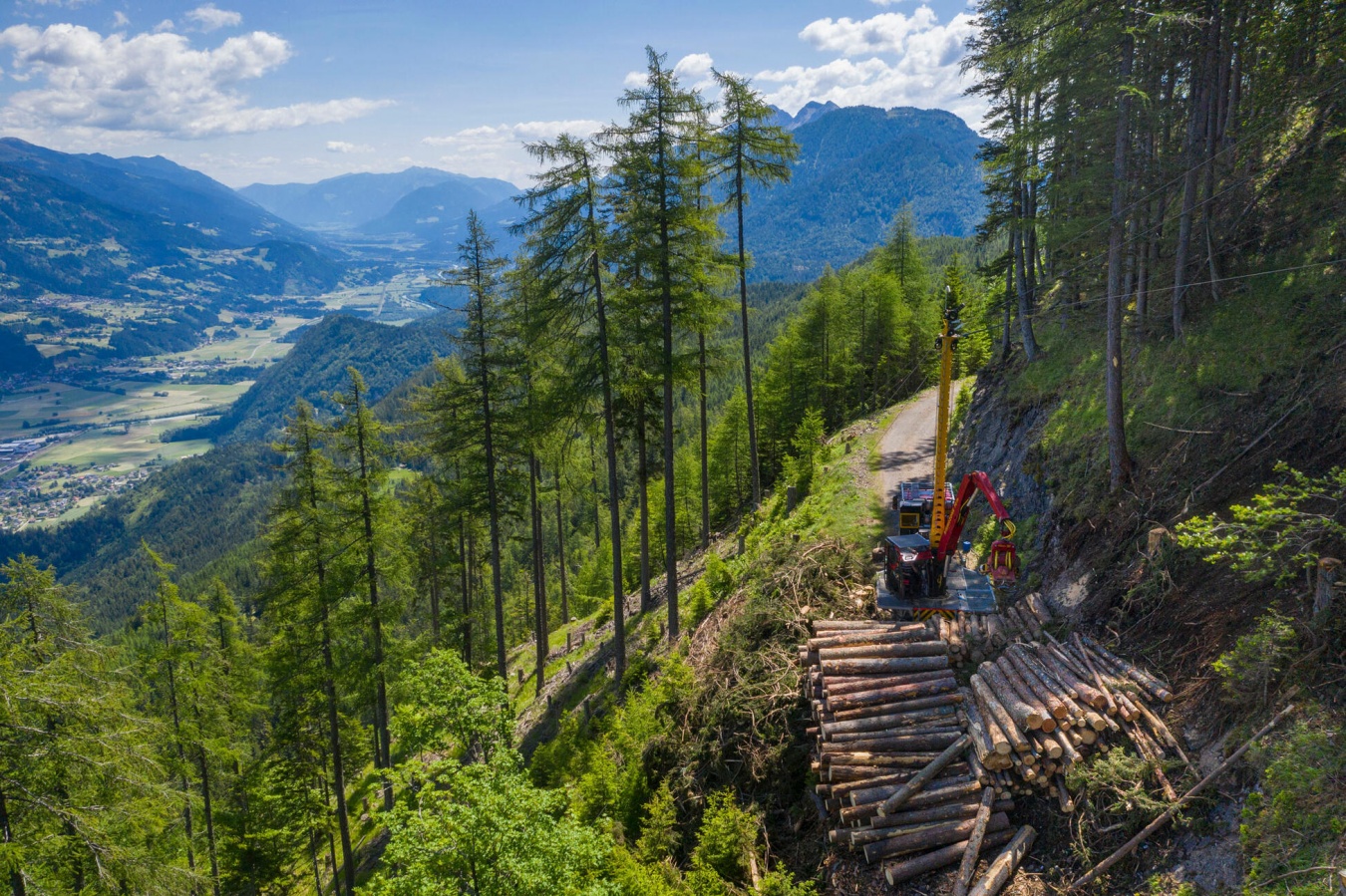 From Wood to Wonders 120 Jahre Hasslacher