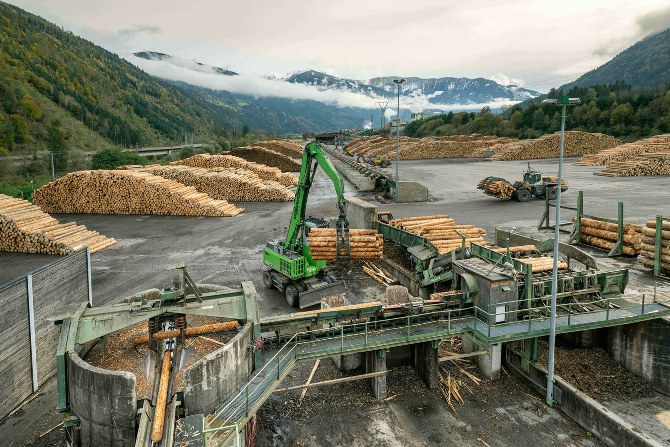 From Wood to Wonders 120 Jahre Hasslacher