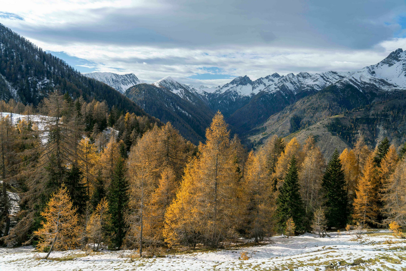 From Wood to Wonders 120 Jahre Hasslacher