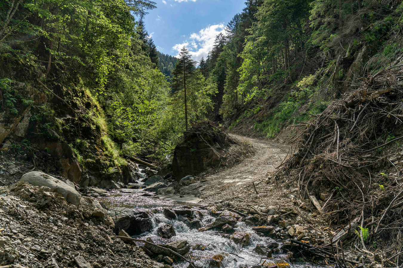 From Wood to Wonders 120 Jahre Hasslacher