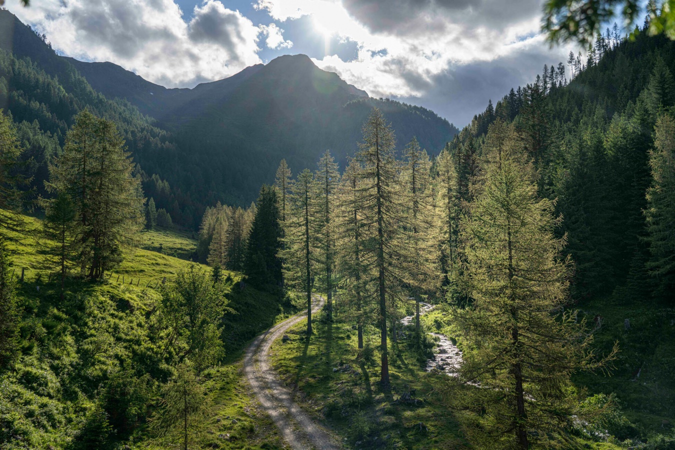 From Wood to Wonders 120 Jahre Hasslacher