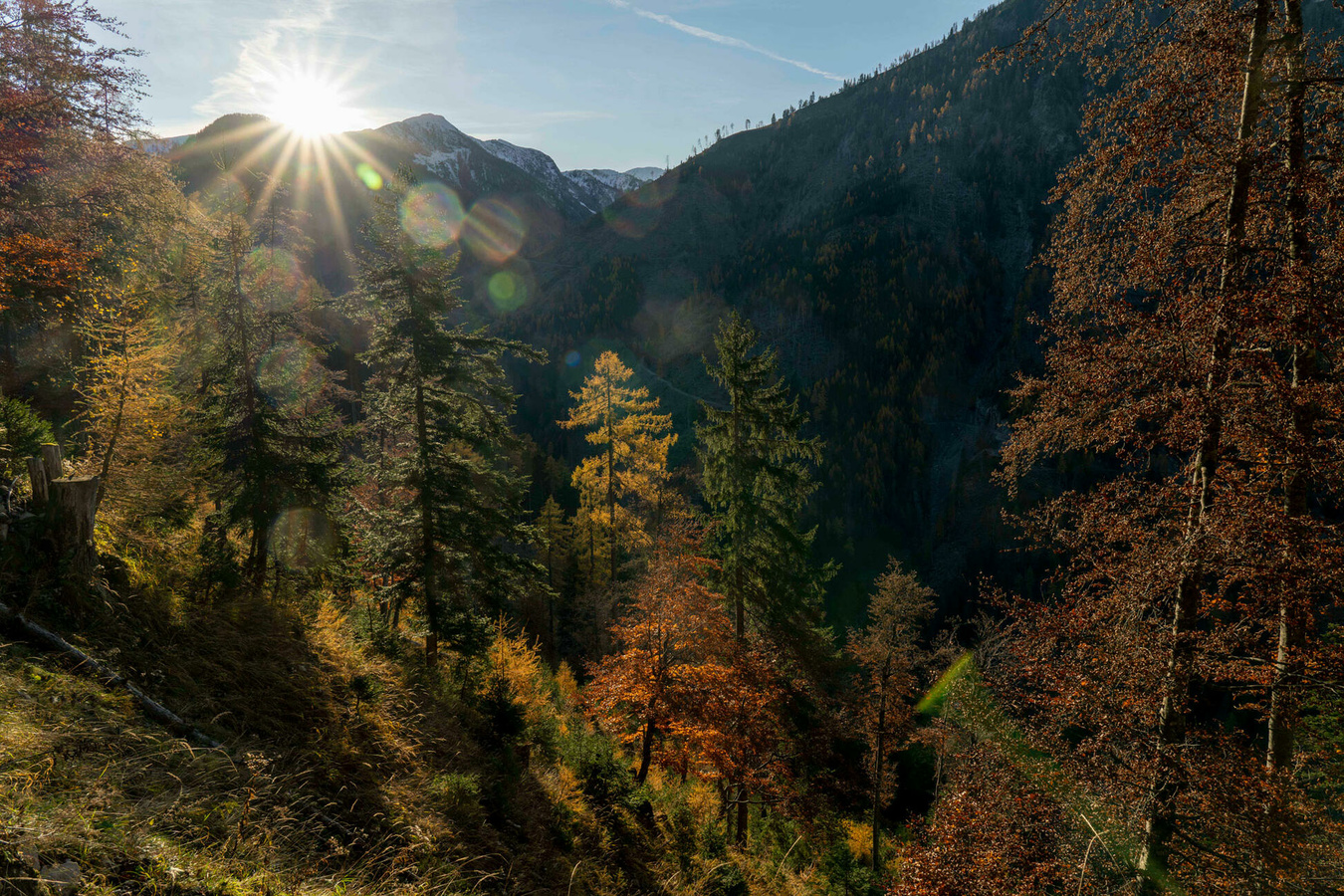 From Wood to Wonders 120 Jahre Hasslacher