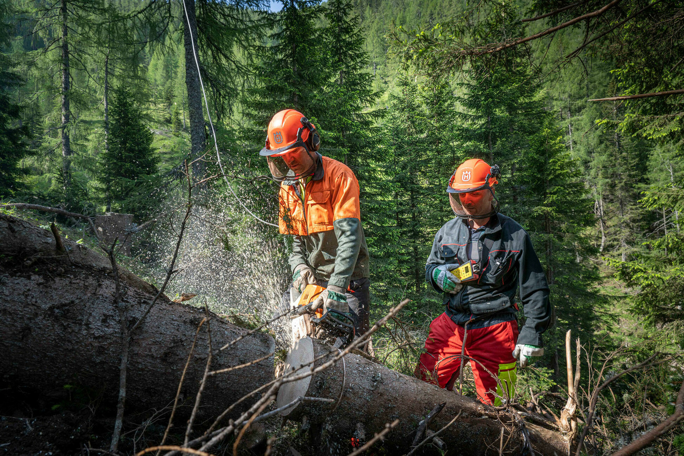 From Wood to Wonders 120 Jahre Hasslacher
